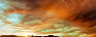 Consulenza legale lasciti solidali